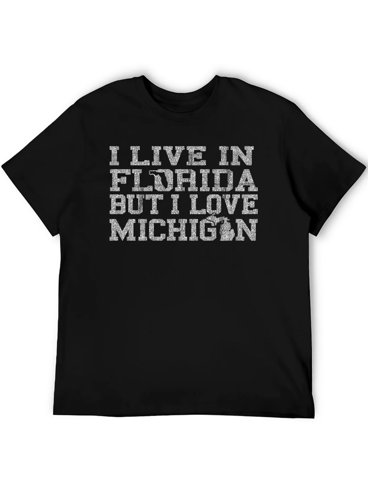 Florida Michigan Novelty Graphic Tee product image 1